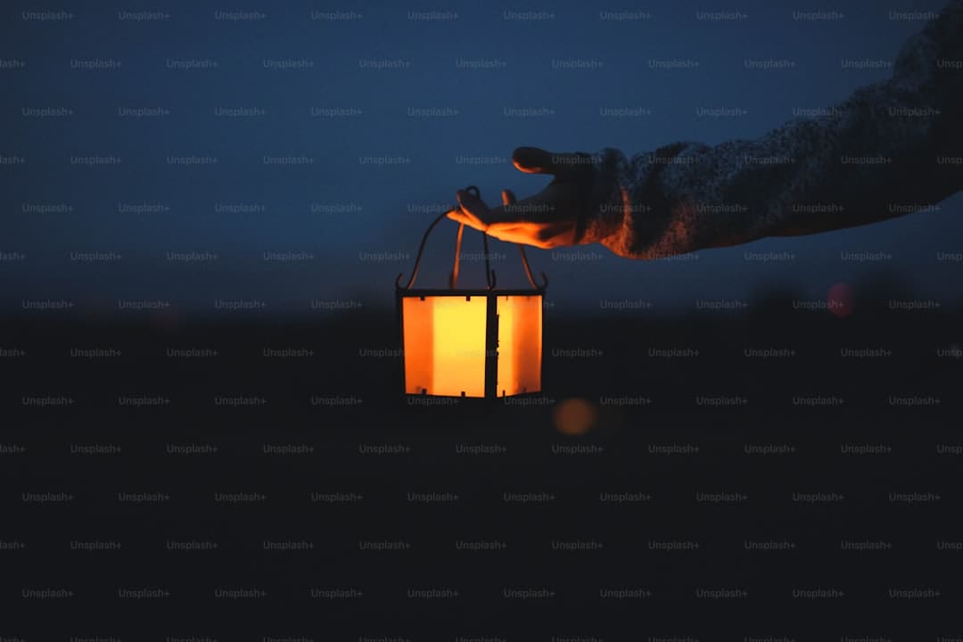 新华角度｜透视“反向春运”热潮